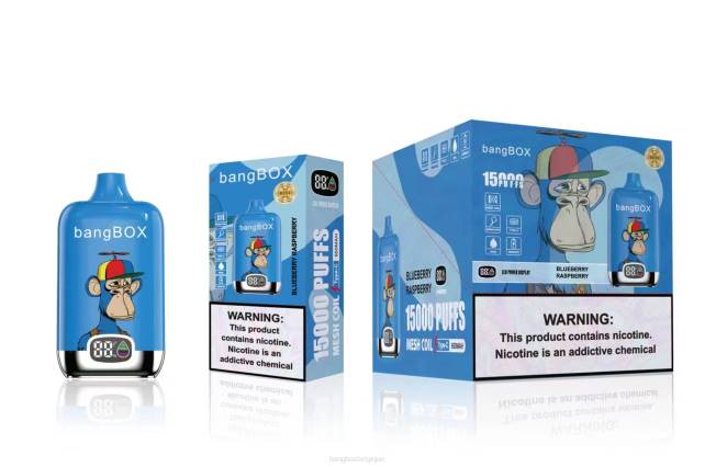 Puff Bang Box Avis 82V446 myrtille framboise | Bang Box 15000 bouffées