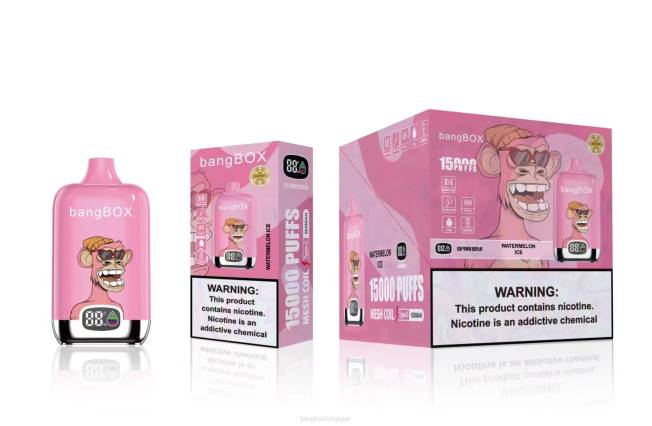 Vape Bang Box Prix 82V445 glace à la pastèque | Bang Box 15000 bouffées